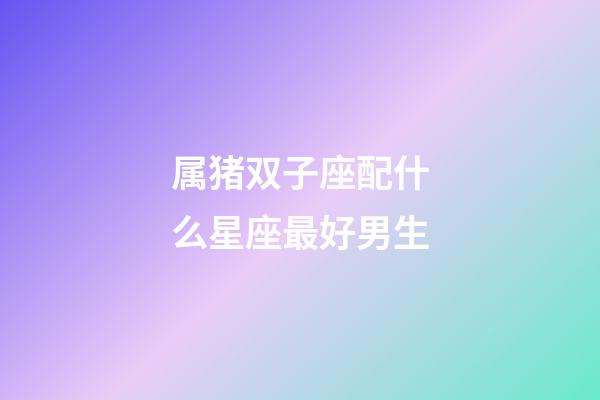 属猪双子座配什么星座最好男生-第1张-星座运势-玄机派