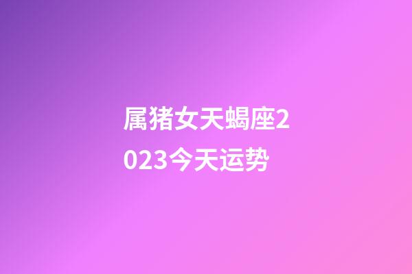 属猪女天蝎座2023今天运势-第1张-星座运势-玄机派