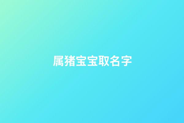 属猪宝宝取名字(属猪的宝宝取名字用哪些字好)-第1张-宝宝起名-玄机派