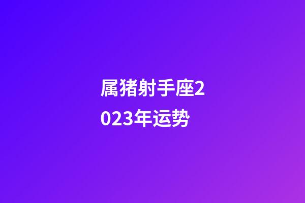 属猪射手座2023年运势-第1张-星座运势-玄机派