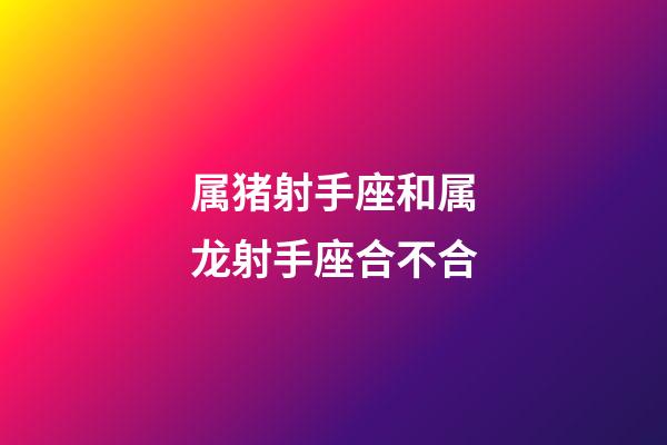 属猪射手座和属龙射手座合不合-第1张-星座运势-玄机派