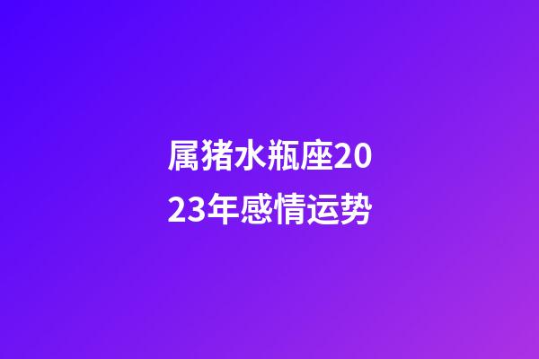 属猪水瓶座2023年感情运势-第1张-星座运势-玄机派