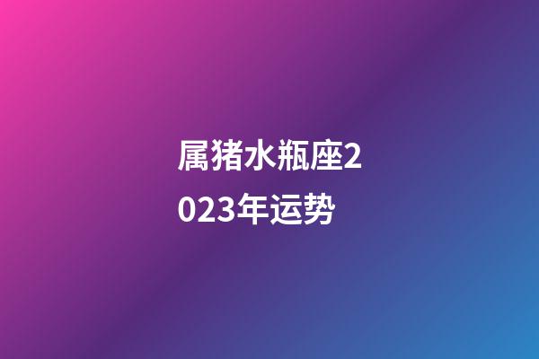 属猪水瓶座2023年运势-第1张-星座运势-玄机派