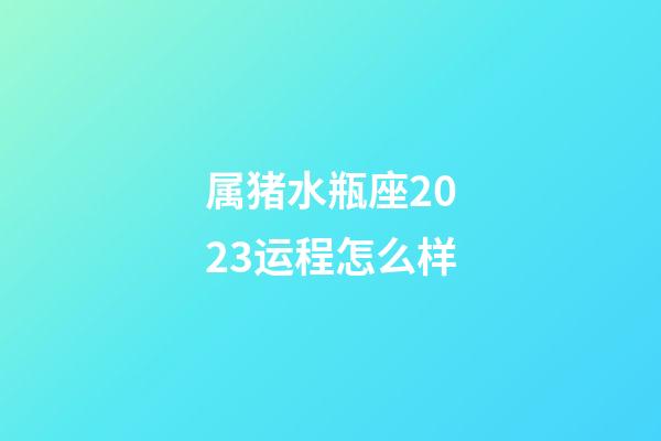 属猪水瓶座2023运程怎么样-第1张-星座运势-玄机派