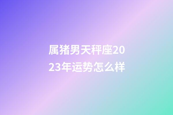 属猪男天秤座2023年运势怎么样-第1张-星座运势-玄机派