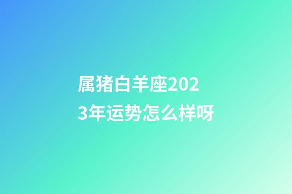 属猪白羊座2023年运势怎么样呀-第1张-星座运势-玄机派