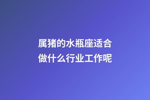 属猪的水瓶座适合做什么行业工作呢-第1张-星座运势-玄机派