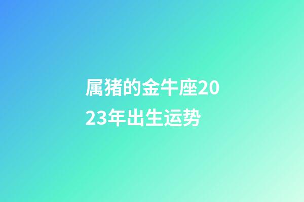 属猪的金牛座2023年出生运势-第1张-星座运势-玄机派