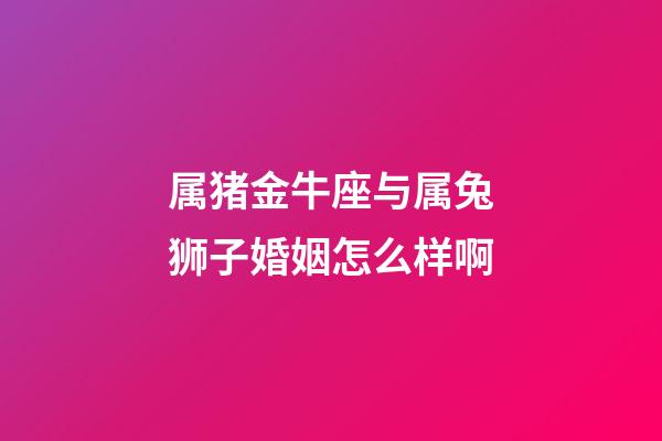 属猪金牛座与属兔狮子婚姻怎么样啊