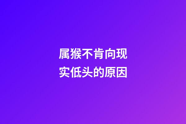 属猴不肯向现实低头的原因