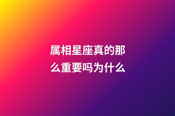 属相星座真的那么重要吗为什么-第1张-星座运势-玄机派