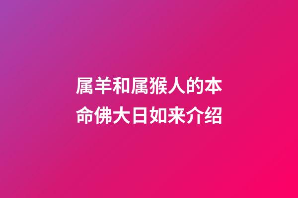 属羊和属猴人的本命佛大日如来介绍