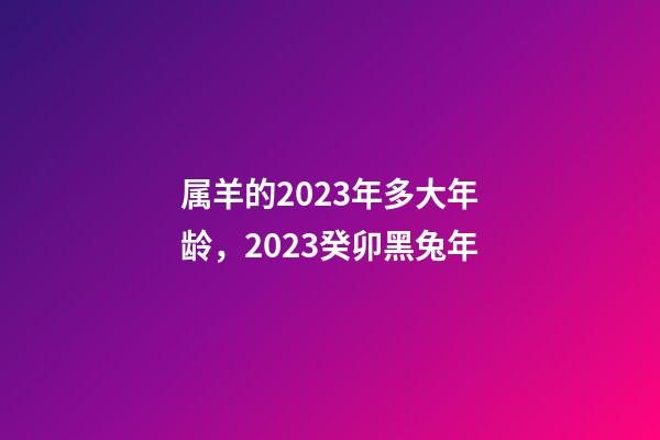 属羊的2023年多大年龄，2023癸卯黑兔年-第1张-观点-玄机派