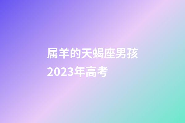 属羊的天蝎座男孩2023年高考-第1张-星座运势-玄机派