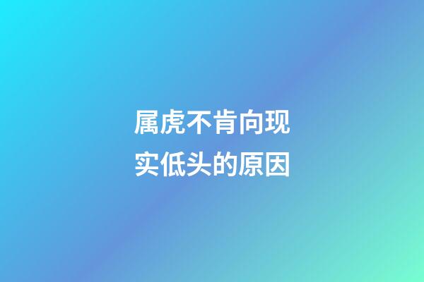 属虎不肯向现实低头的原因