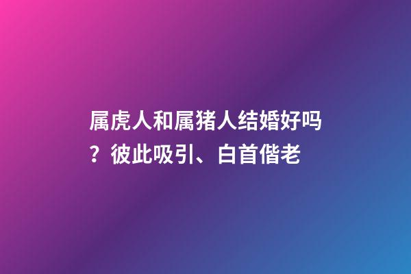 属虎人和属猪人结婚好吗？彼此吸引、白首偕老