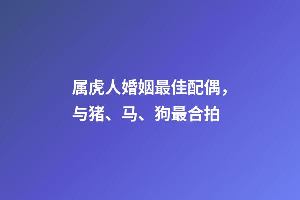 属虎人婚姻最佳配偶，与猪、马、狗最合拍