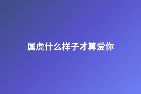 属虎什么样子才算爱你