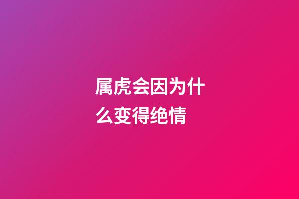 属虎会因为什么变得绝情