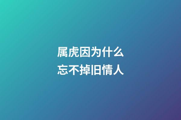 属虎因为什么忘不掉旧情人