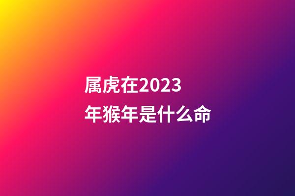 属虎在2023年猴年是什么命