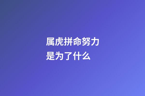 属虎拼命努力是为了什么