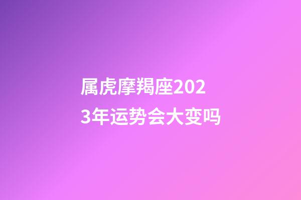 属虎摩羯座2023年运势会大变吗