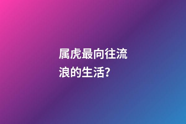 属虎最向往流浪的生活？