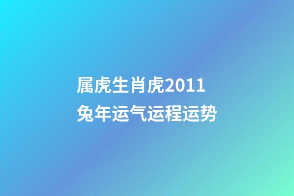 属虎生肖虎2011兔年运气运程运势