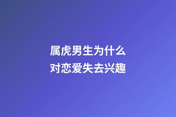 属虎男生为什么对恋爱失去兴趣