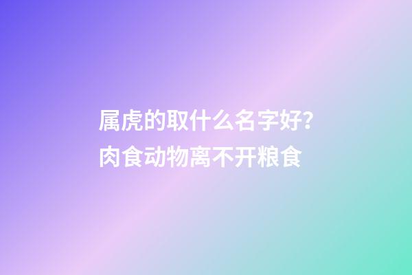 属虎的取什么名字好？肉食动物离不开粮食