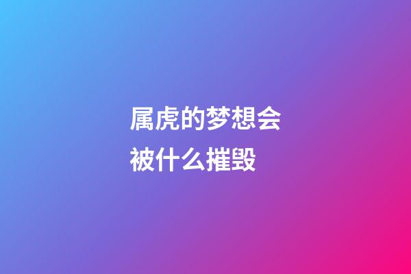 属虎的梦想会被什么摧毁