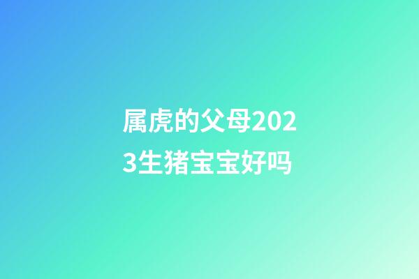 属虎的父母2023生猪宝宝好吗