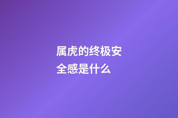 属虎的终极安全感是什么