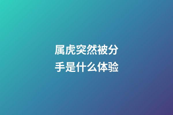 属虎突然被分手是什么体验