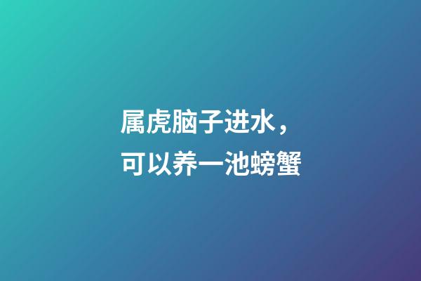 属虎脑子进水，可以养一池螃蟹