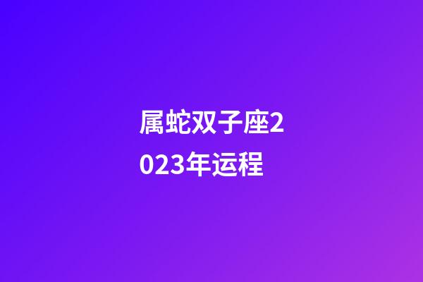 属蛇双子座2023年运程-第1张-星座运势-玄机派