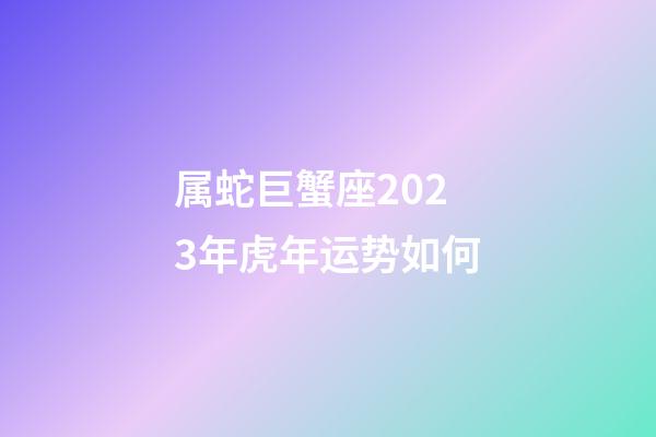 属蛇巨蟹座2023年虎年运势如何