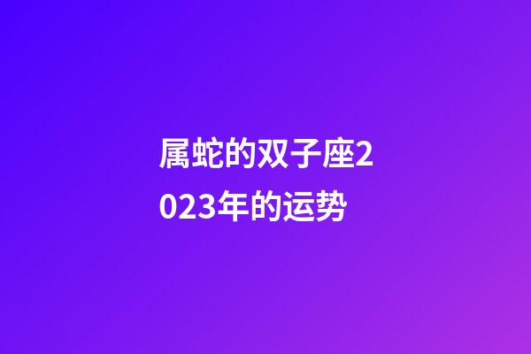 属蛇的双子座2023年的运势