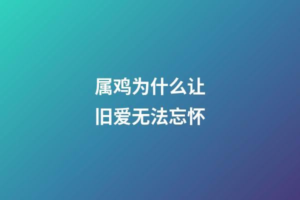 属鸡为什么让旧爱无法忘怀