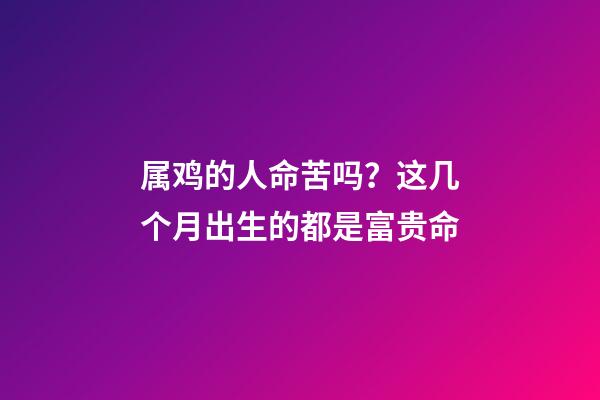 属鸡的人命苦吗？这几个月出生的都是富贵命