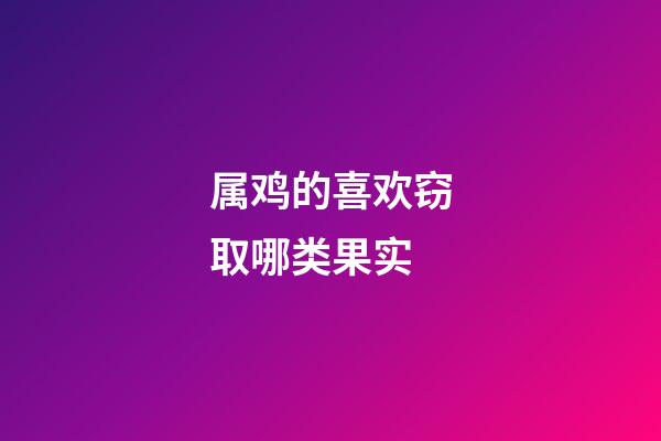 属鸡的喜欢窃取哪类果实