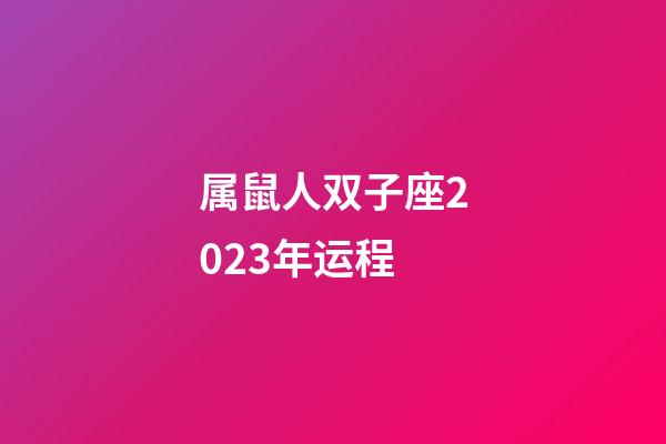 属鼠人双子座2023年运程-第1张-星座运势-玄机派