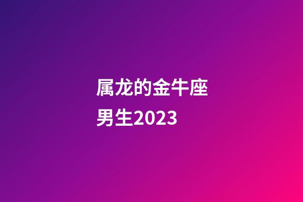 属龙的金牛座男生2023-第1张-星座运势-玄机派