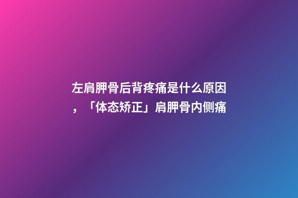 左肩胛骨后背疼痛是什么原因，「体态矫正」肩胛骨内侧痛-第1张-观点-玄机派