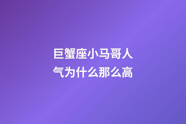 巨蟹座小马哥人气为什么那么高