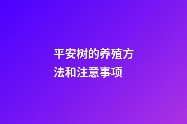 平安树的养殖方法和注意事项