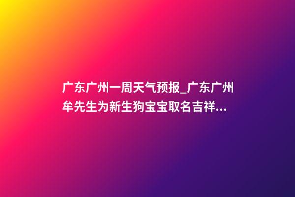 广东广州一周天气预报_广东广州牟先生为新生狗宝宝取名吉祥型套餐-第1张-公司起名-玄机派