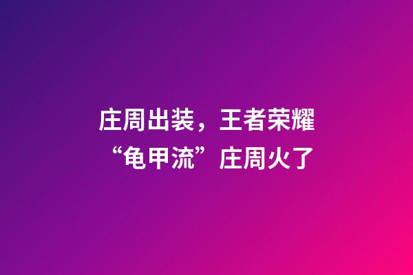 庄周出装，王者荣耀“龟甲流”庄周火了-第1张-观点-玄机派