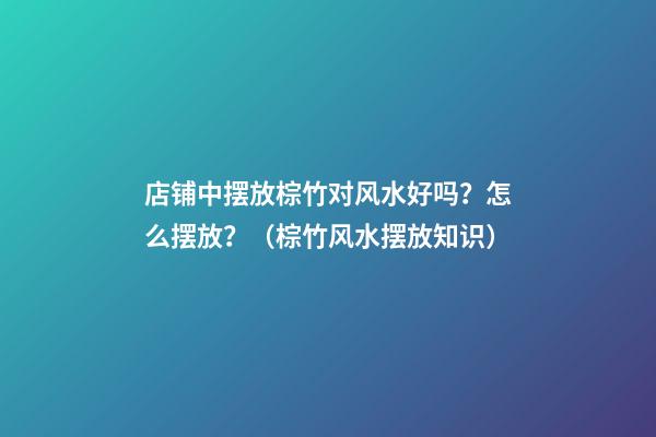 店铺中摆放棕竹对风水好吗？怎么摆放？（棕竹风水摆放知识）